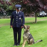 LONDON & ESSEX DOG TRAINING ~ POLICE TRAINED BEHAVIOURISTS logo