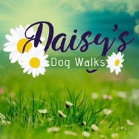 Daisy's Dog Walks logo