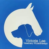 Victoria Lee Veterinary Physiotherapy logo