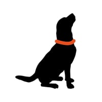 Tarka Dog Training logo