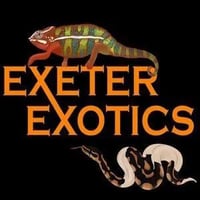 Exeter Exotics logo