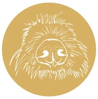 The Peninsula Pet Care logo