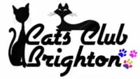 Cats Club Brighton | Cat Feeding & Cat Sitting for Brighton & Hove logo