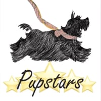 Pupstars Pet Services logo
