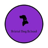 Bristol Dog School - puppy, dog and gundog trainer logo