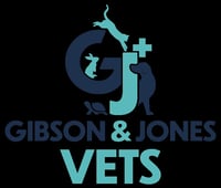 Gibson & Jones - Llanelli Vets logo
