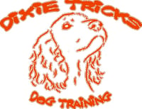 Dixie Tricks logo