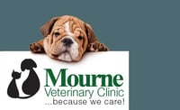 Mourne Veterinary Clinic logo