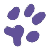 The Beeches Veterinary Hospital (Active Vetcare) logo