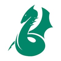 Dragon Vets Tewkesbury logo