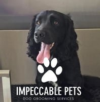 Impeccable Pets Dog Grooming logo