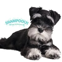 Shampooch Dog Groomers logo