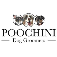 Poochini Dog Groomers logo