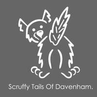 Scruffy Tails of Davenham logo