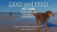 Lead and Feed Pet Care Services logo