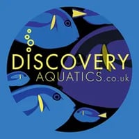 Discovery Aquatics logo