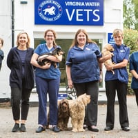 Virginia Water Veterinary Clinic logo