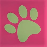Dashing Dogs logo