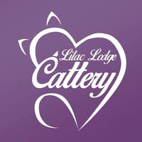 Lilac Lodge Cattery logo