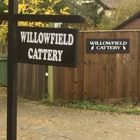 Willowfield Cattery logo