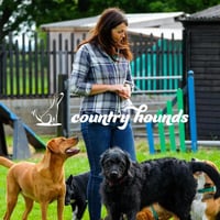 Country Hounds Wrexham Dog Daycare & Puppy Daycare logo