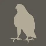 Armthorpe Falcons logo