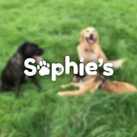 Sophie's Dog Walking logo