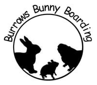 Burrows Bunny Boarding logo