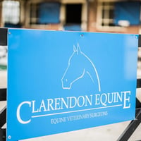 Clarendon Equine Vets logo