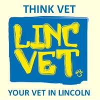 Lincvet logo