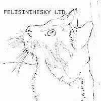 FELISINTHESKY LIMITED logo
