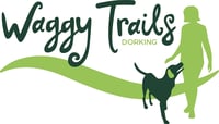 Waggy Trails Dorking - Dog walker and day care logo