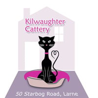 Kilwaughter Cattery logo