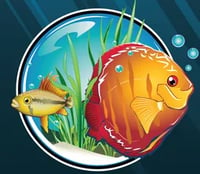 gwynedd aquatics logo