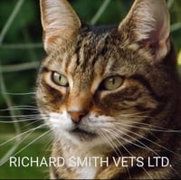 Richard Smith Bilbrook Ltd logo