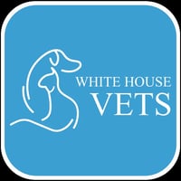 White House Vets logo