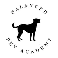 Balanced Pet Academy logo