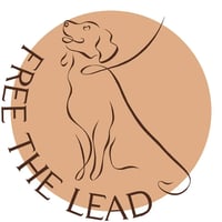 Free the Lead logo
