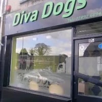 Diva Dogs logo