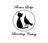 Boston Lodge Cattery logo