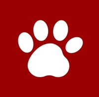 Barkworth Dog Walking Limited logo