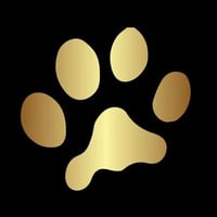 Hair O' The Dog - Wybers Wood. Dog Grooming and Online Store logo