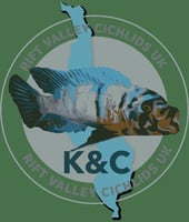 K&C Rift Valley Cichlids UK logo