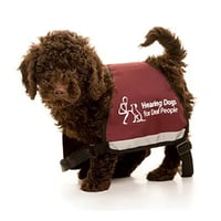 Hearing Dogs For Deaf People logo
