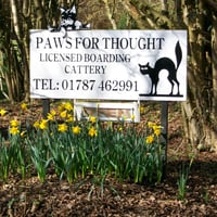 Paws for Thought Cattery logo