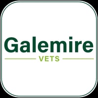 Galemire Veterinary Hospital logo