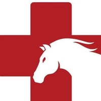 Perth Equine Vets logo