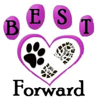 Best Paw Forward Training Centre logo