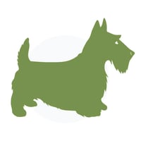 Vanity Fur Dog Grooming logo