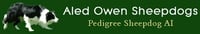 Owen Aled logo